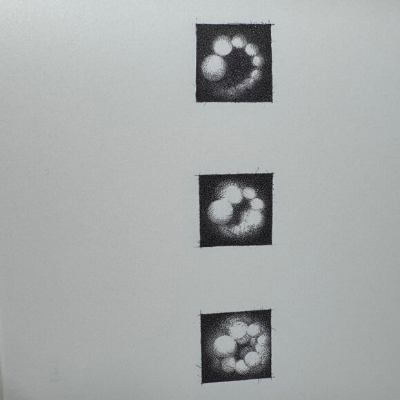 Christine Taylor Patten Micros Art Book 1999 Stinehour Press 1st Edition Signed - Picture 11 of 16